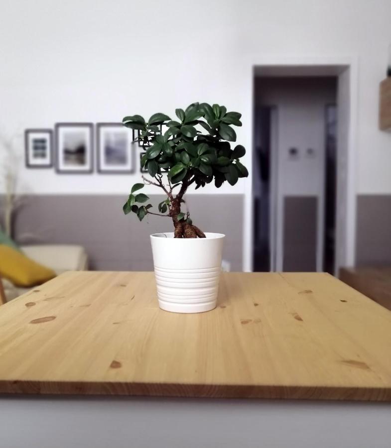 바리 La Casa Blu 아파트 외부 사진